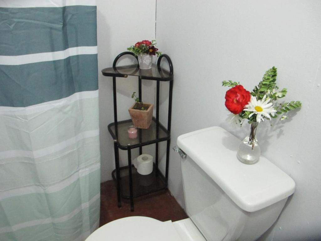 Habitaciones Centro 푸콘 외부 사진